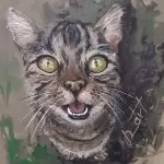 creatiefwezen bij izartshop